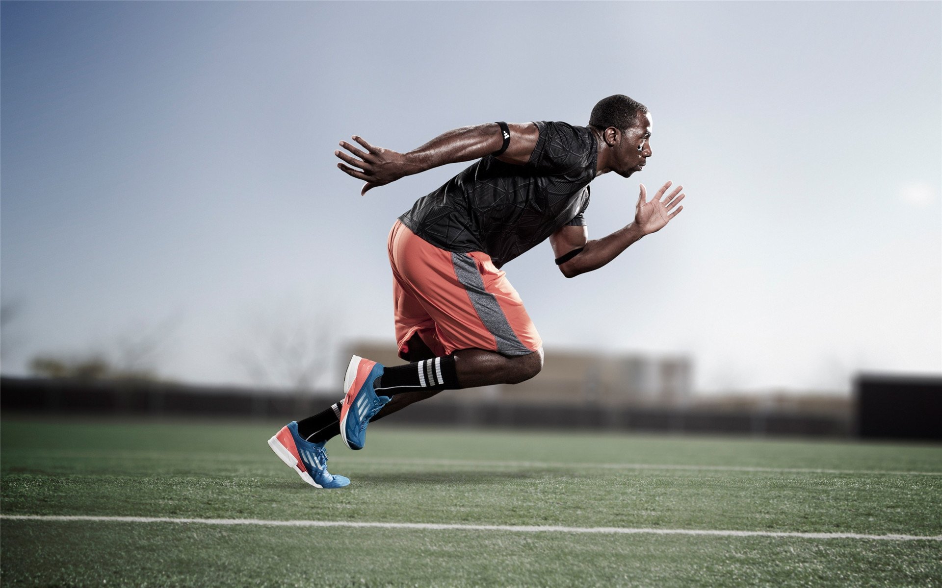 2026年世界武术自由搏击巡回赛亚洲首站落户上海